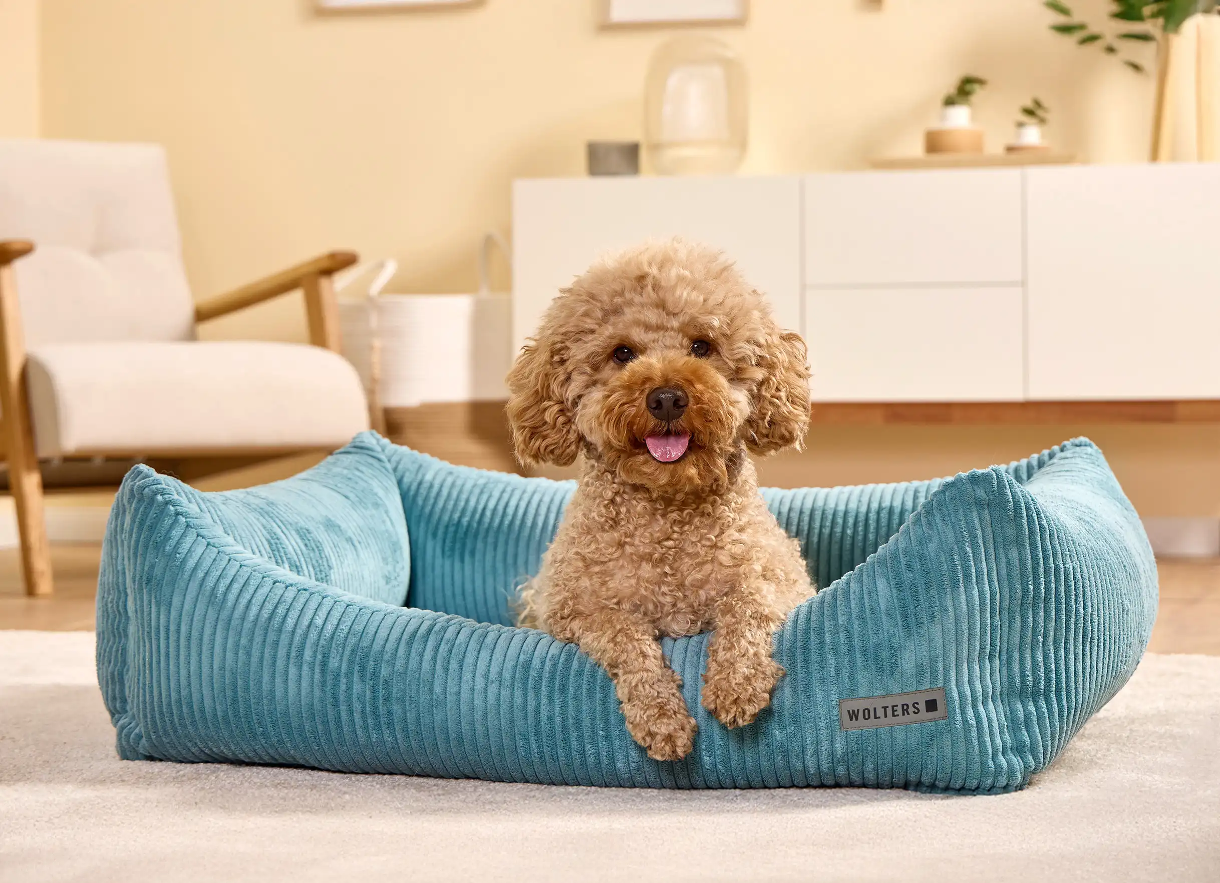 Best Dog Beds for Comfort and Durability (Tested)