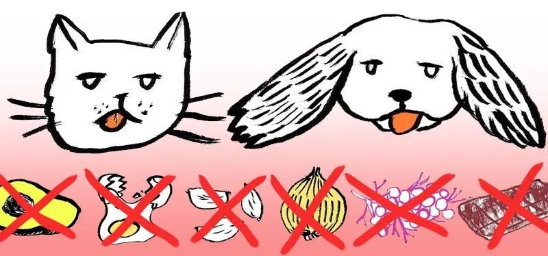 Foods You Should Never Feed Your Dog or Cat (Toxic Ingredients List)