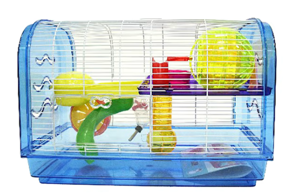 Hamster Cage Setup Guide for Beginners