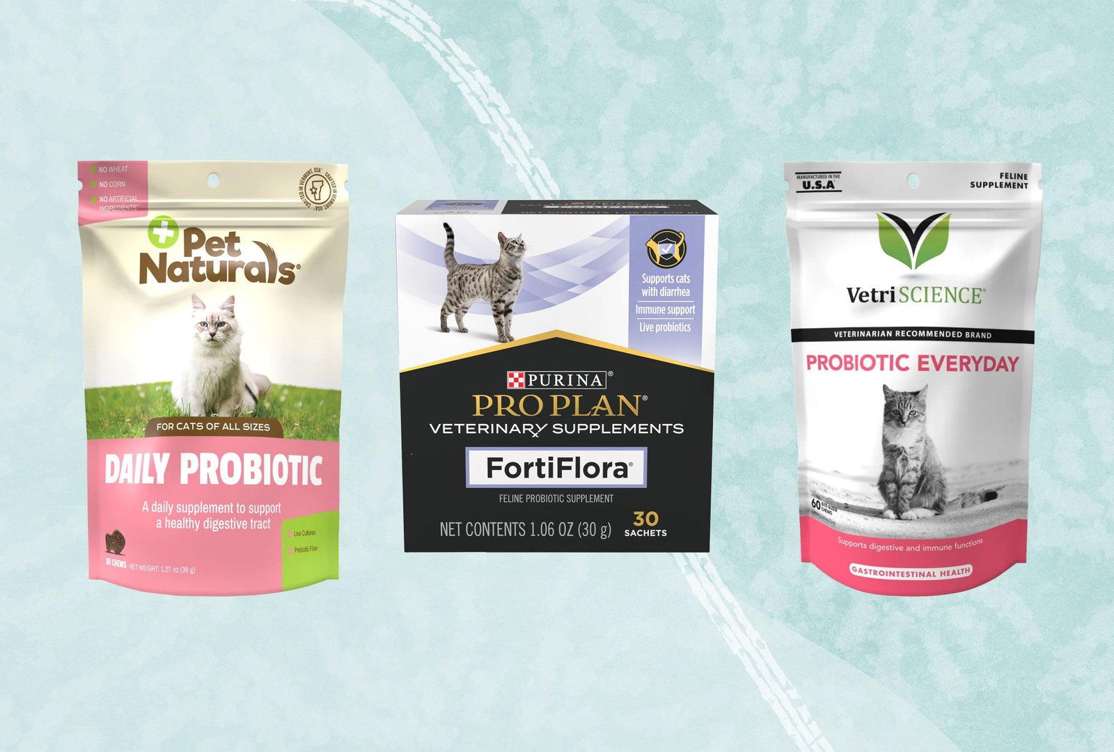Can Pets Benefit From Probiotics?