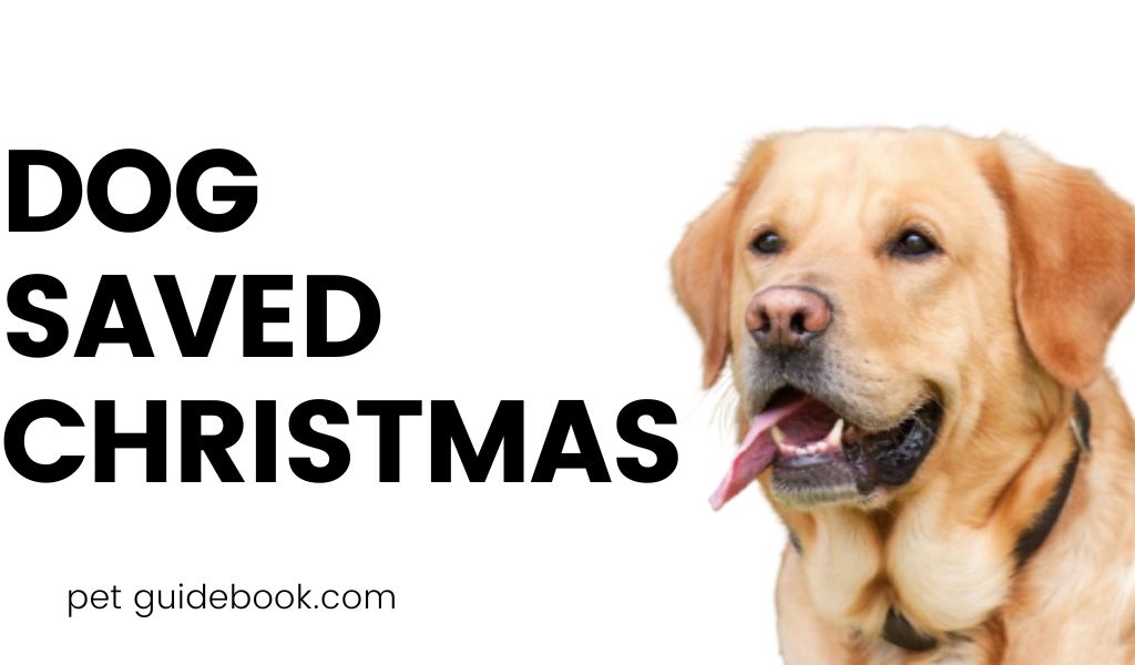 Dog Saved Christmas