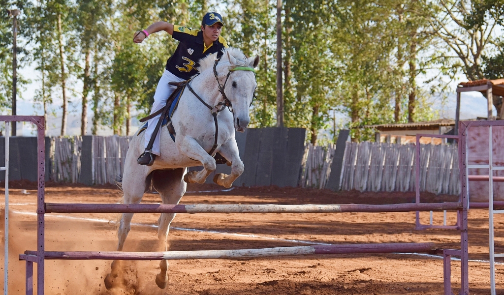 10 Mind-Blowing Horse Vaulting Tricks That Will Leave You Speechless!