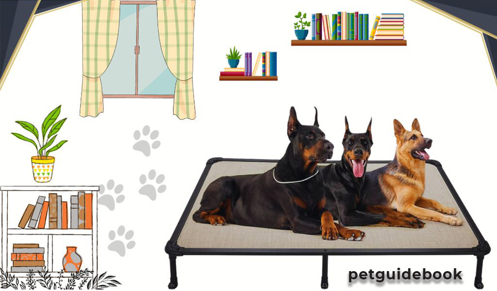 Best Dog Bed for Chewers