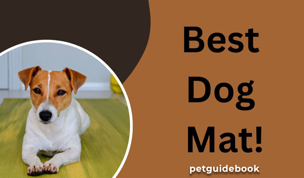Different Types of Dog Mats