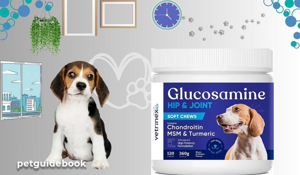 Best Dog's Joint Medicine