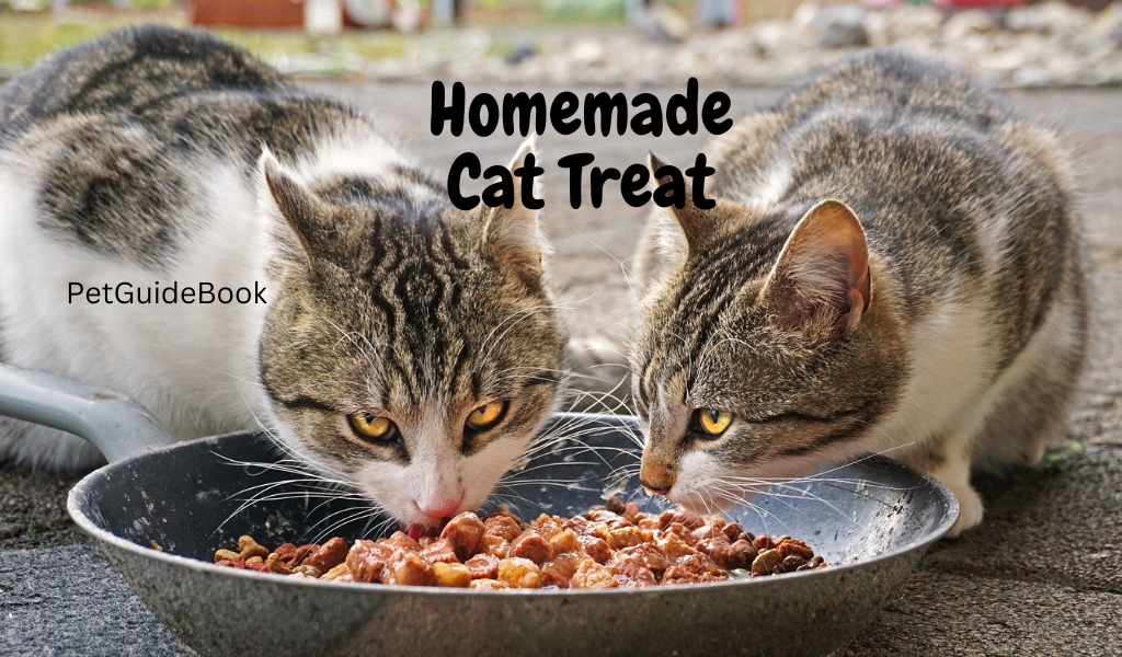Homemade Cat Treats