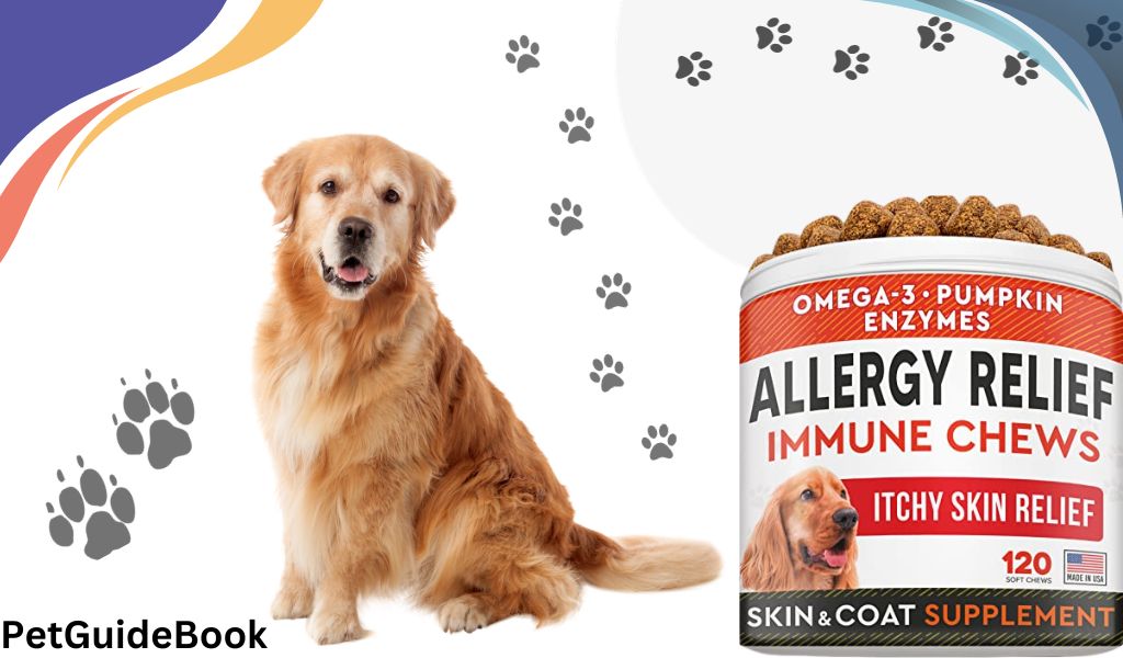 best dog allergy chews