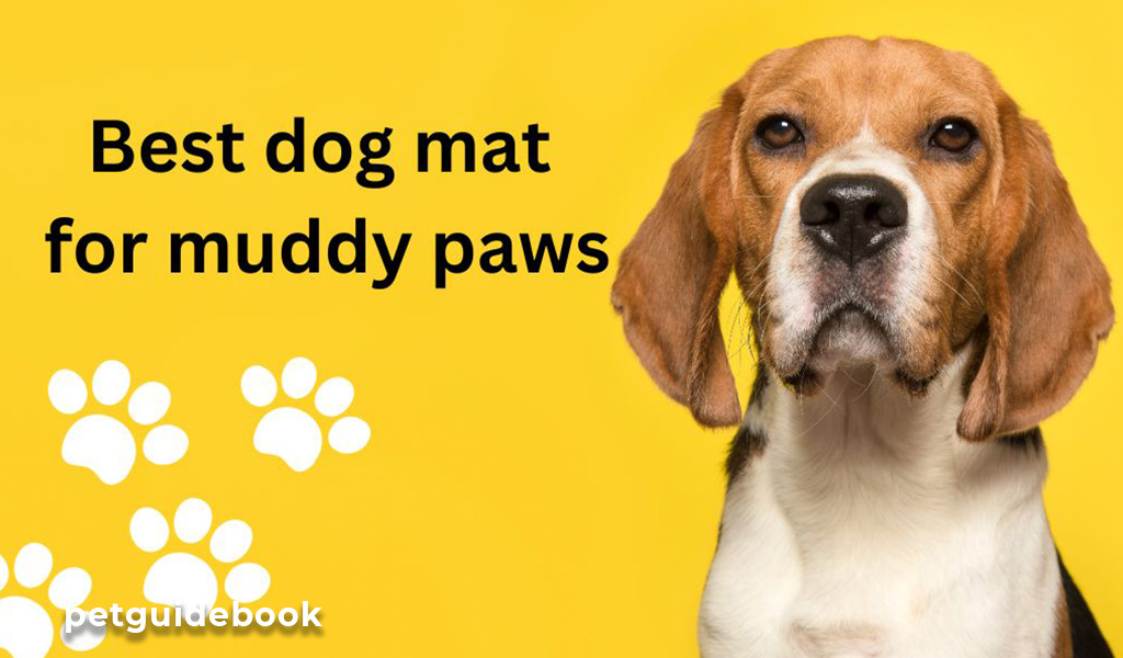 best dog mat for muddy paws