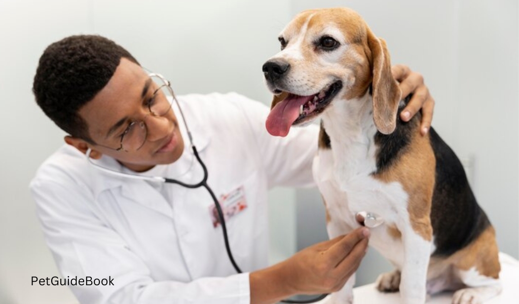best dog medicine for arthritis