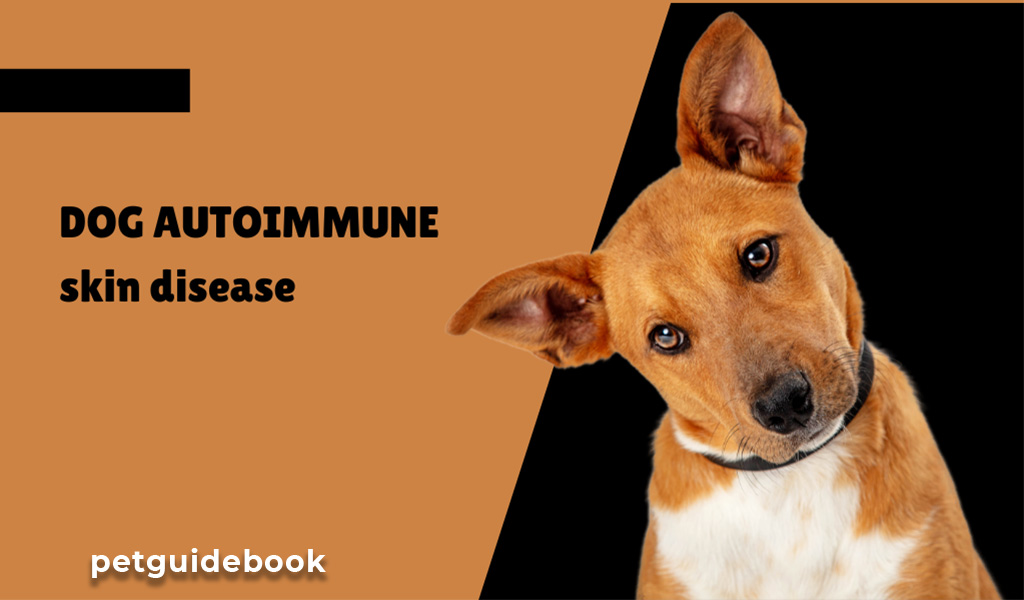 dog autoimmune skin disease