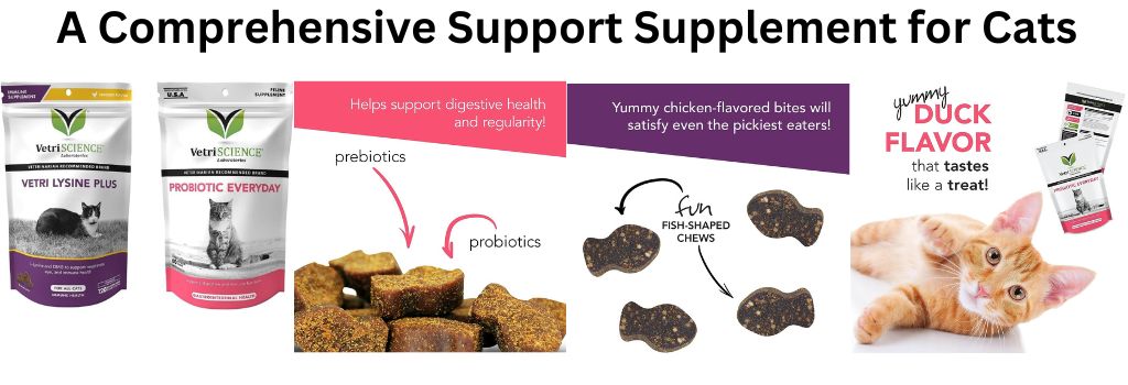 Support Supplement for Cats