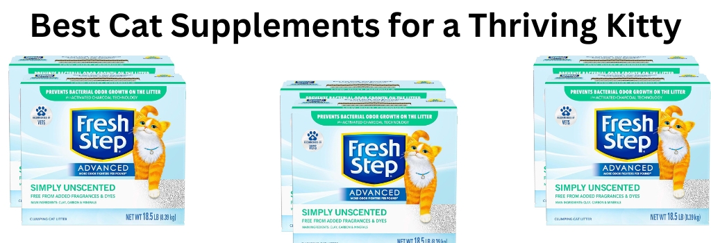 Best Cat Supplements