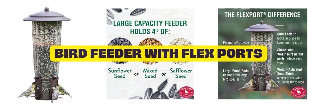 Bird Feeder with Flex Ports