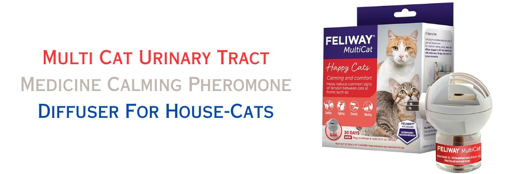 Cat Urinary Tract Medicine