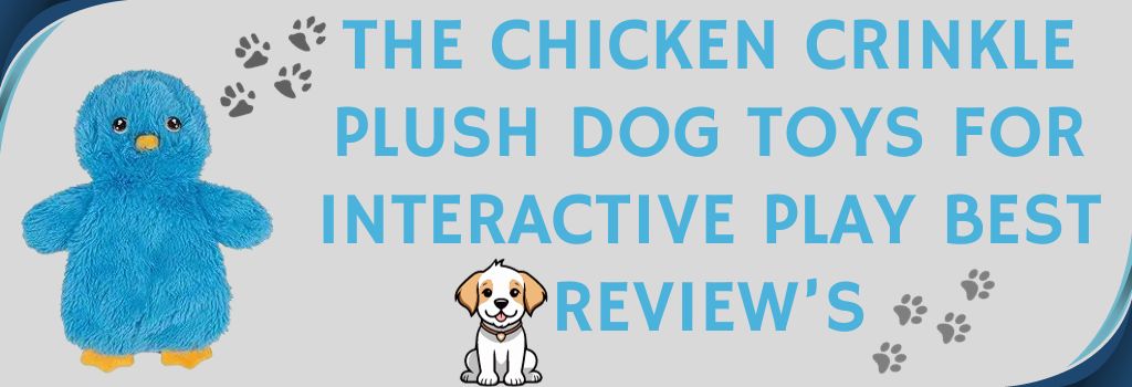 The Chicken Crinkle Plush Dog Toys for Interactive Play Best Reviews