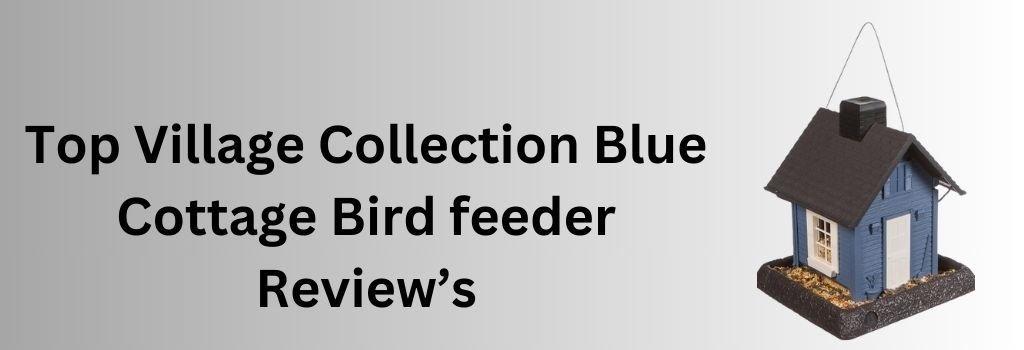 Top Village Collection Blue Cottage Bird Feeder Review’s