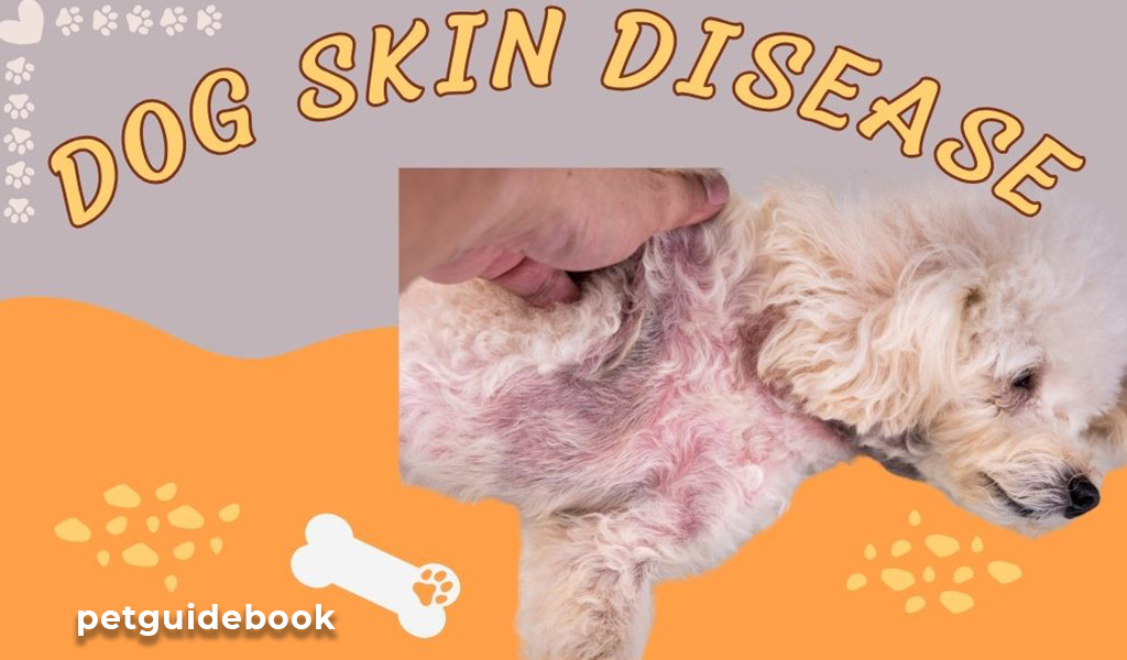 Dog Skin Disease