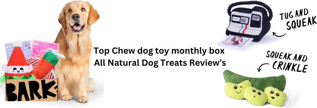 Dog Toy Monthly Box