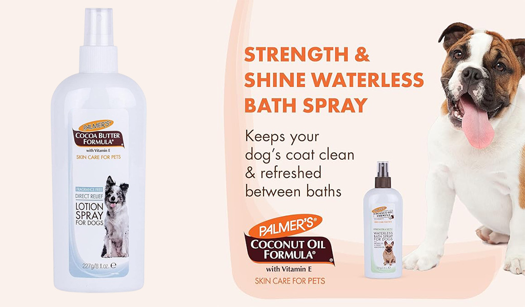 Lotion for Dogs
