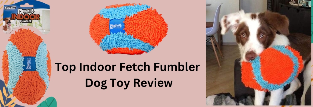 Top Indoor Fetch Fumbler Dog Toy Review