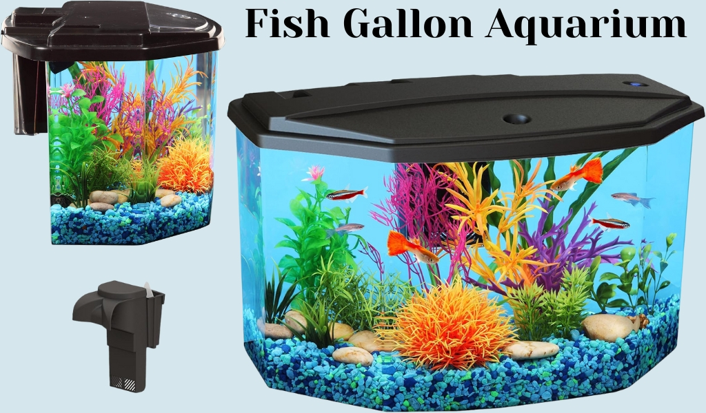 Best Betta Fish Tropical Fish Gallon Aquarium Review