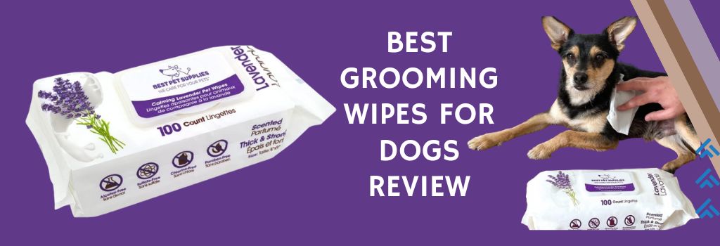 Best Grooming Wipes for Dogs Review