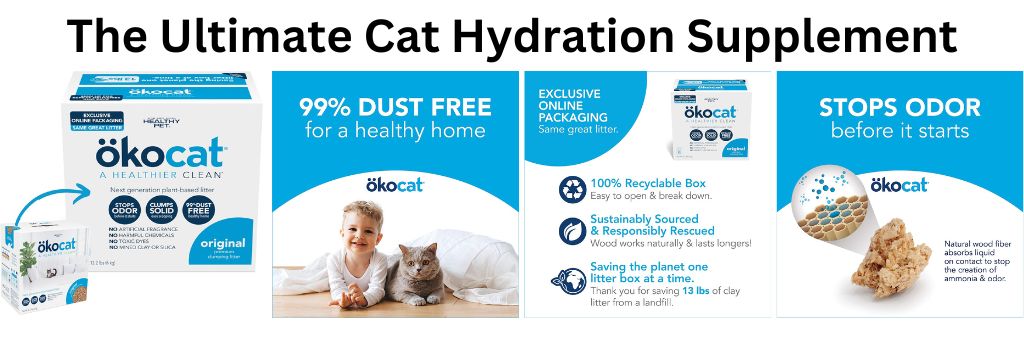 The Ultimate Cat Hydration Supplement