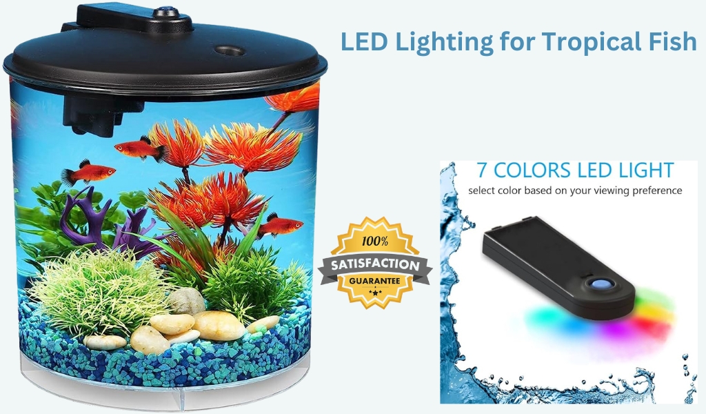 Best Power Filter and LED Lighting for Tropical Fish Review