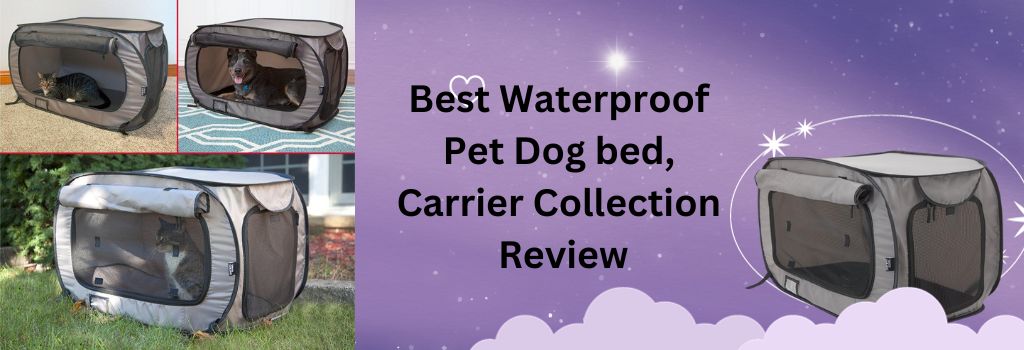 Best Waterproof Pet Dog Bed, Carrier Collection Review