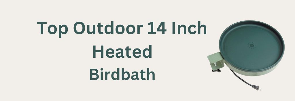 Top Outdoor Heated Birdbath Review