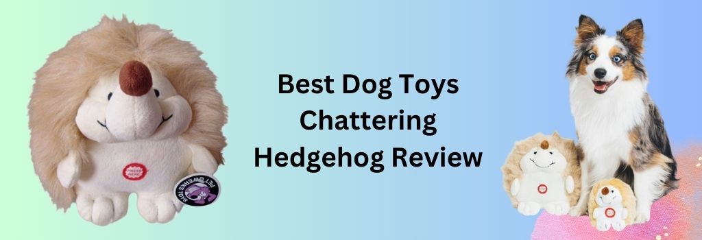 Best Interactive Dog Toys Chattering Hedgehog Review 2024