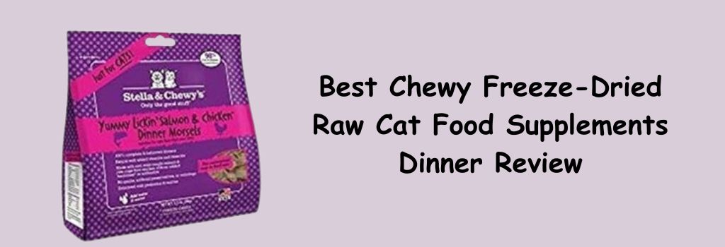 Best Chewy Freeze and Dried Raw Cat Food Supplements Dinner Review