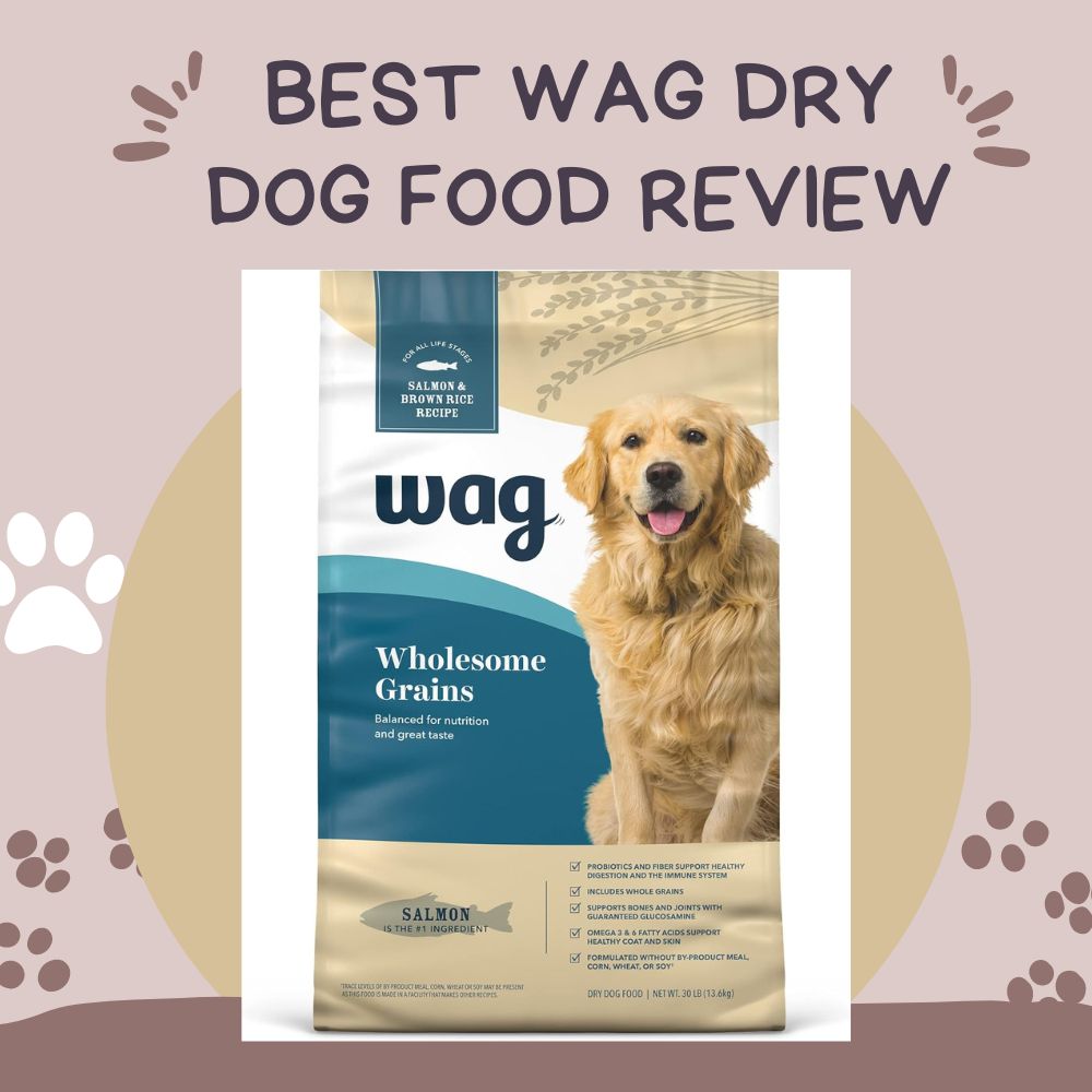 Best Dry Dog Food Review