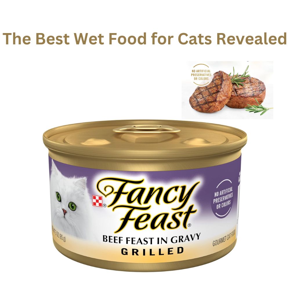 The Best Wet Food for Cats Revealed