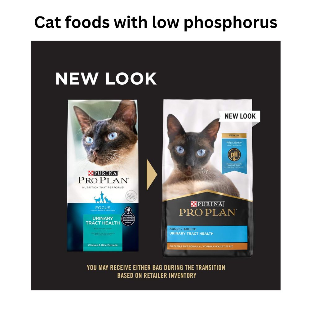 Cat Foods with Low Phosphorus