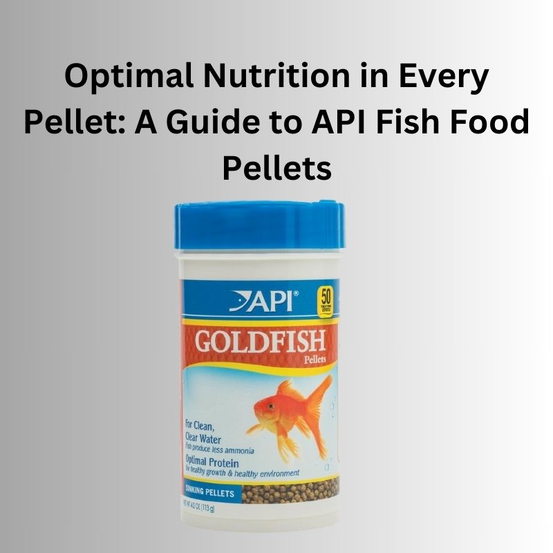 Optimal Nutrition in Every Pellet Full Guide to API Fish Food Pellets