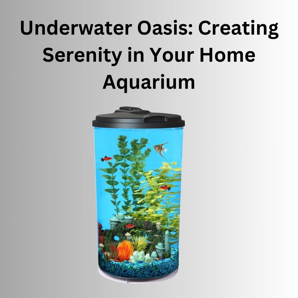 Underwater Oasis Creating Serenity in Your Home Aquarium