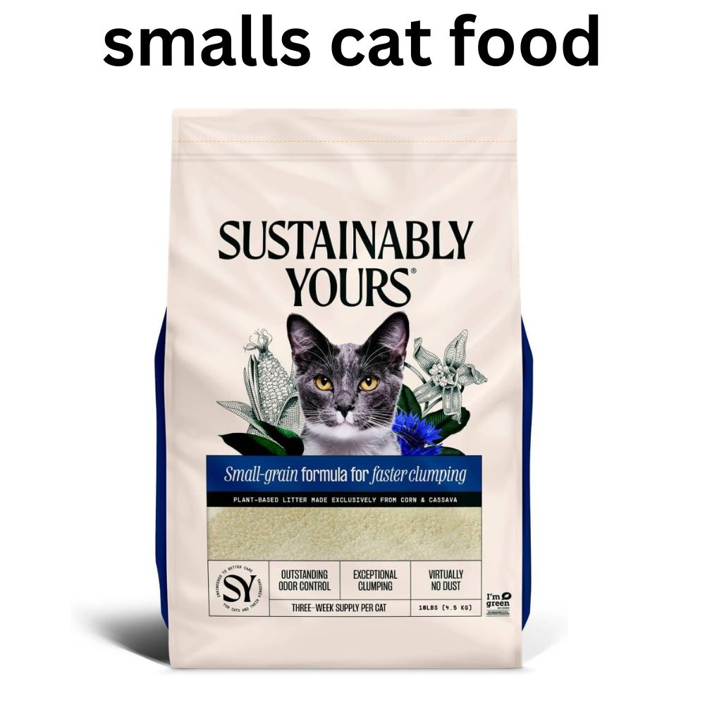 A Guide to Smalls Cat Food Selection