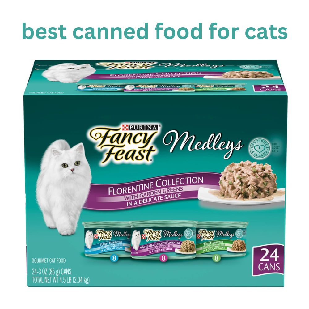 Best Canned Food for Cats