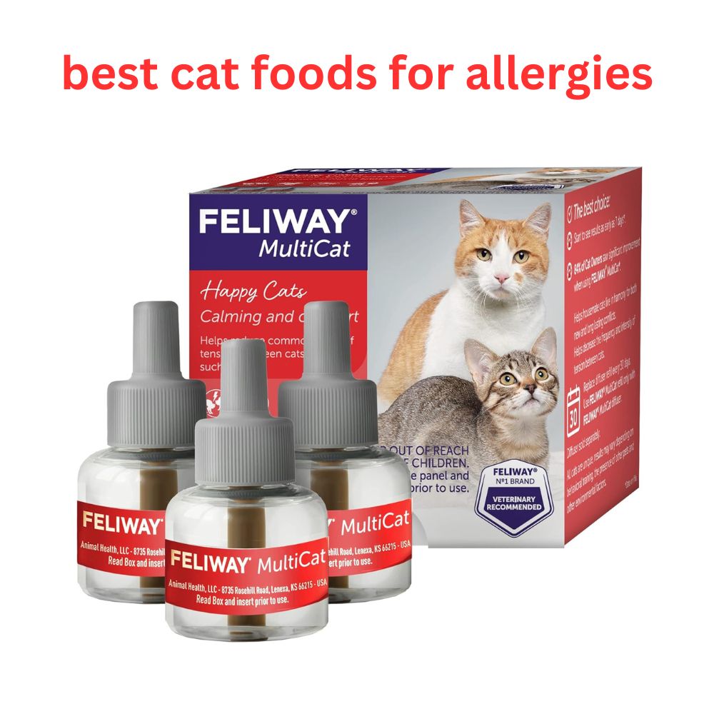 Best Cat Foods for Allergies