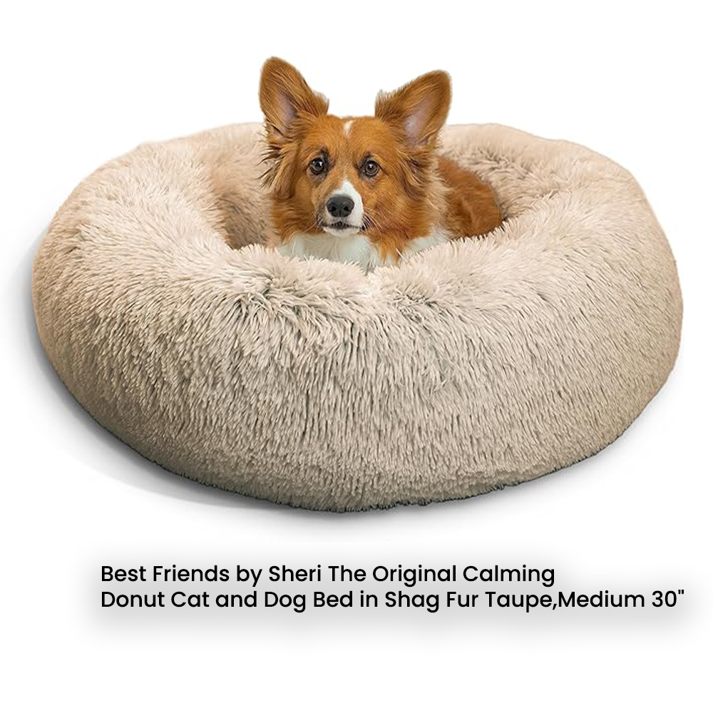 The Ultimate Guide to Dog Beds for Medium Dogs.