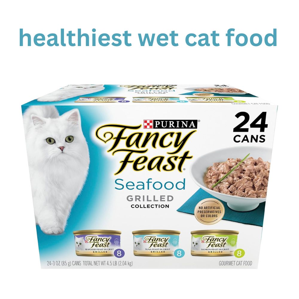 Healthiest Wet Cat Food