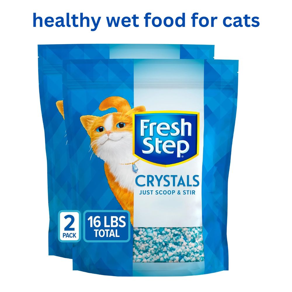 Healthy Wet Food for Cats
