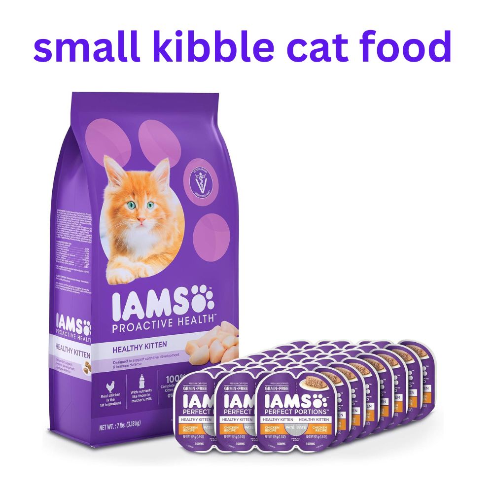 Small Kibble Cat Food for Health and Happiness