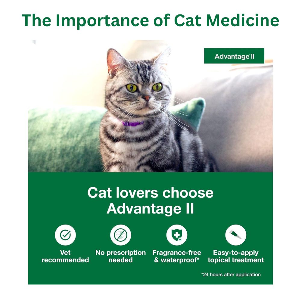 The Importance of Cat Medicine