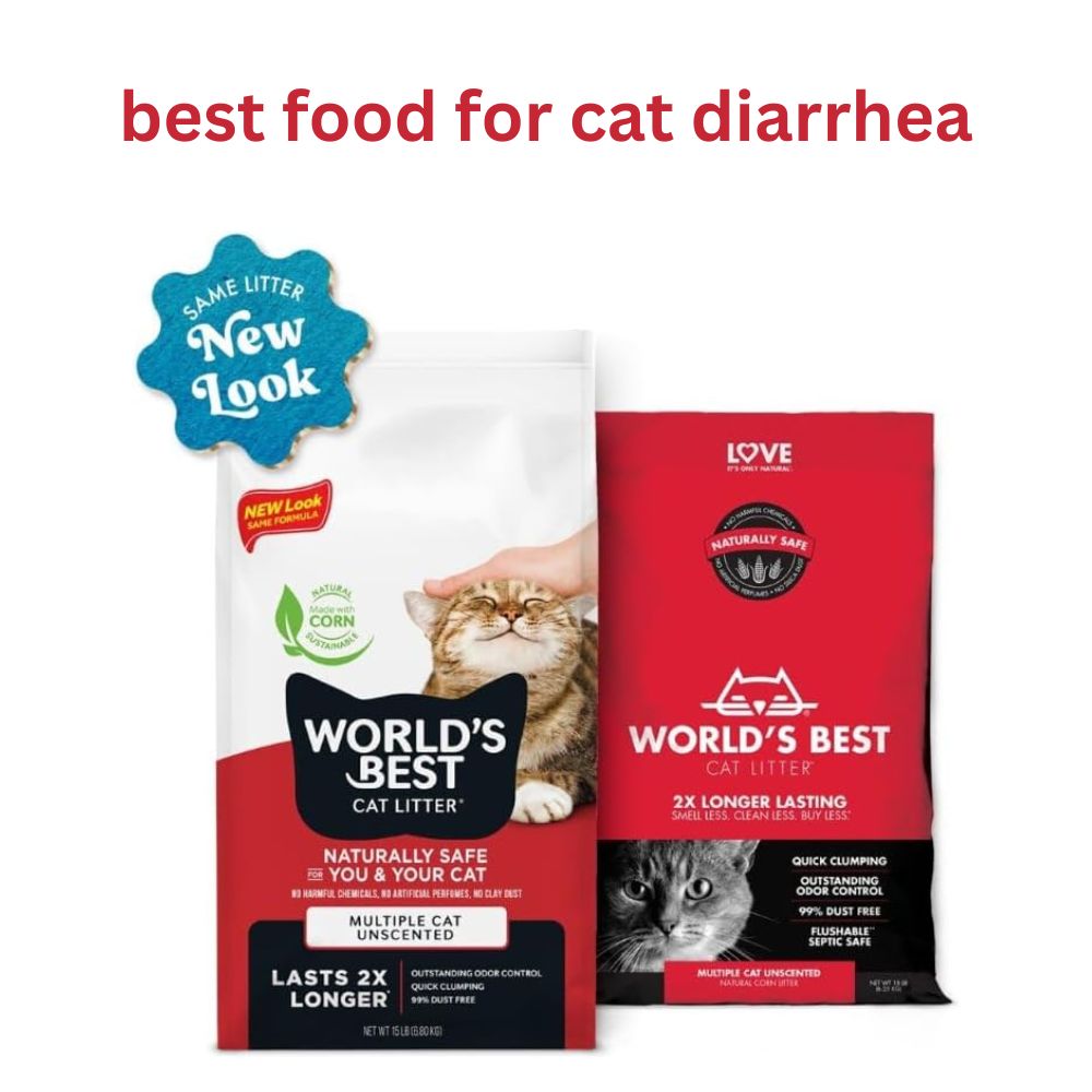 best food for cat diarrhea